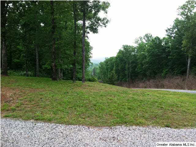 236 County Road 910 Delta, AL 36258 - Photo 6 of 27