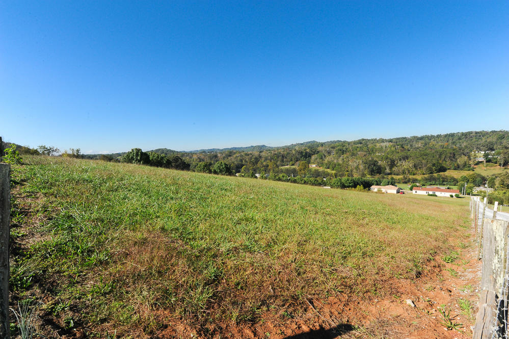 929 Cloyds Church Road Greenback, TN 37742 - Photo 4 of 40 DSC_5014