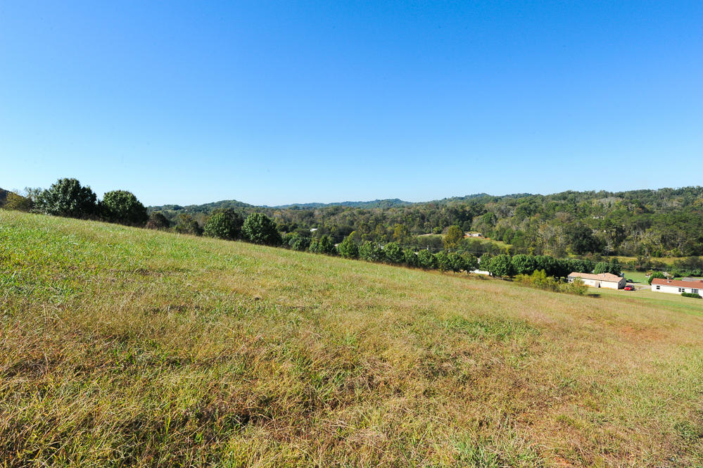 929 Cloyds Church Road Greenback, TN 37742 - Photo 34 of 40 DSC_5096