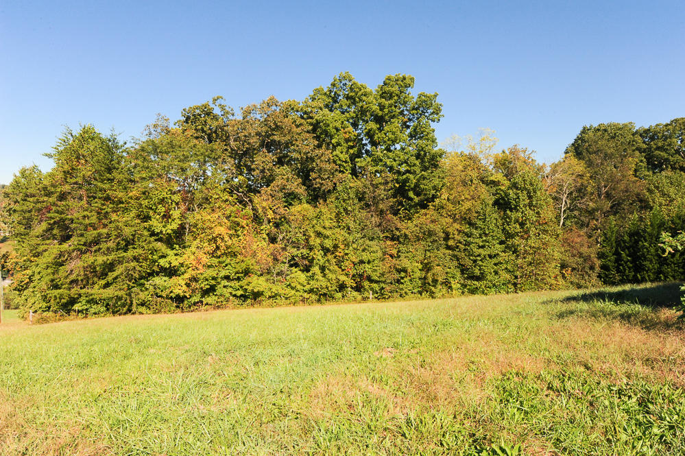 929 Cloyds Church Road Greenback, TN 37742 - Photo 5 of 40 DSC_5017