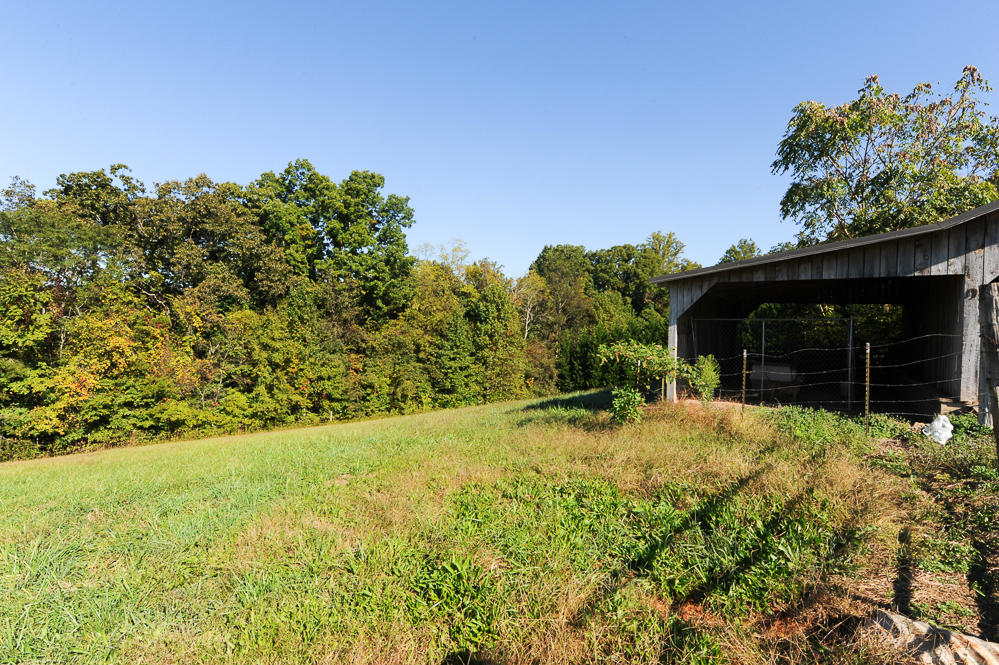 929 Cloyds Church Road Greenback, TN 37742 - Photo 6 of 40 DSC_5018