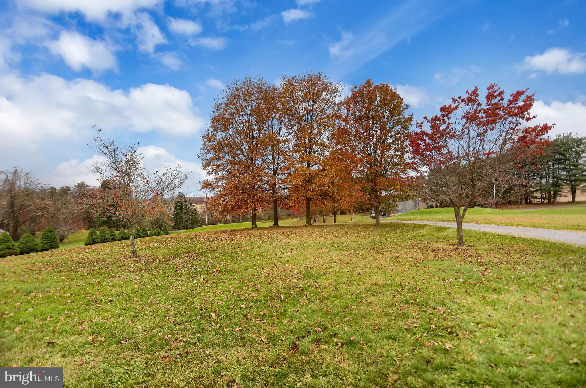 417 Windy Hill Road Liverpool, PA 17045 - Photo 14 of 46 Gallery Image 14