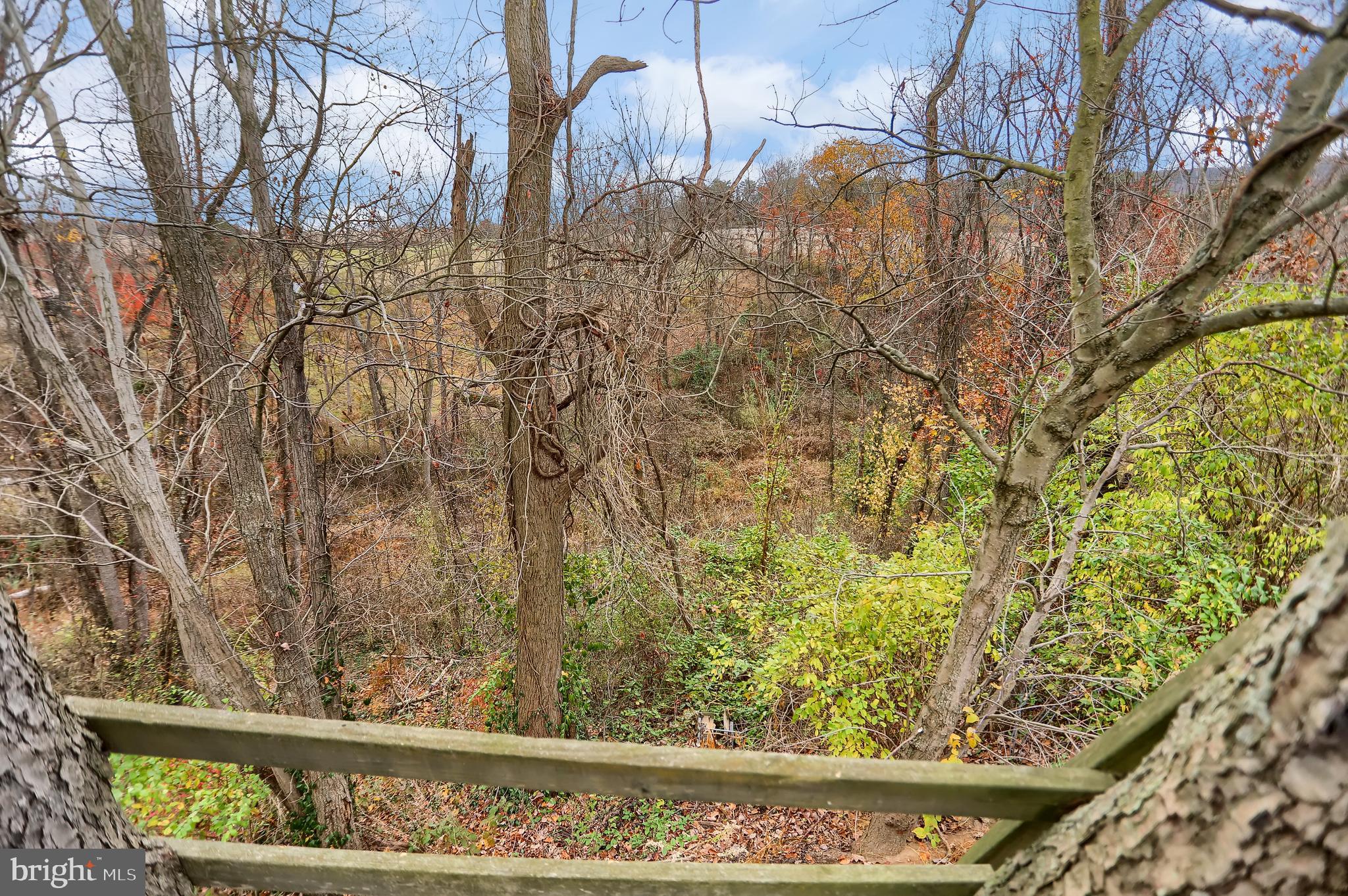 417 Windy Hill Road Liverpool, PA 17045 - Photo 16 of 46 Gallery Image 16