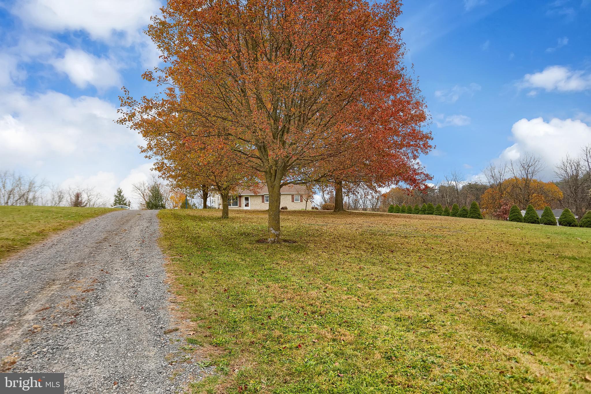 417 Windy Hill Road Liverpool, PA 17045 - Photo 3 of 46 Gallery Image 3
