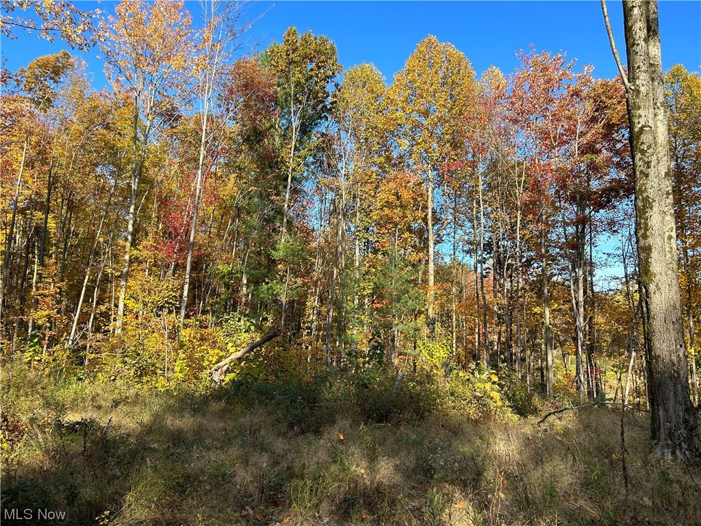 Vl South Ridge Road Conneaut, OH 44030 - Photo 23 of 35 View of local wilderness