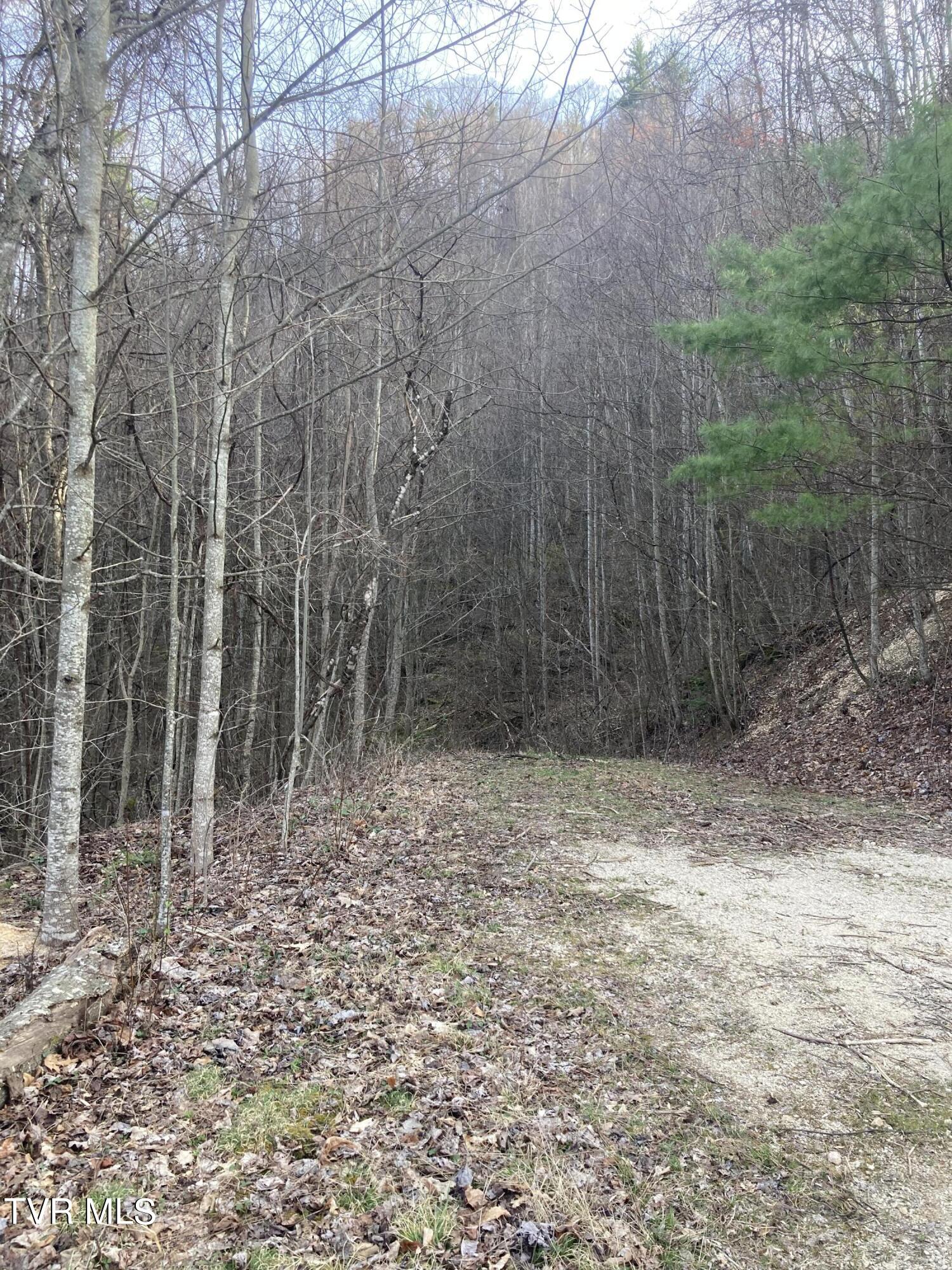 1008 Locust Lane, Unit 38 Butler, TN 37640 - Photo 2 of 11 Lot 38 6