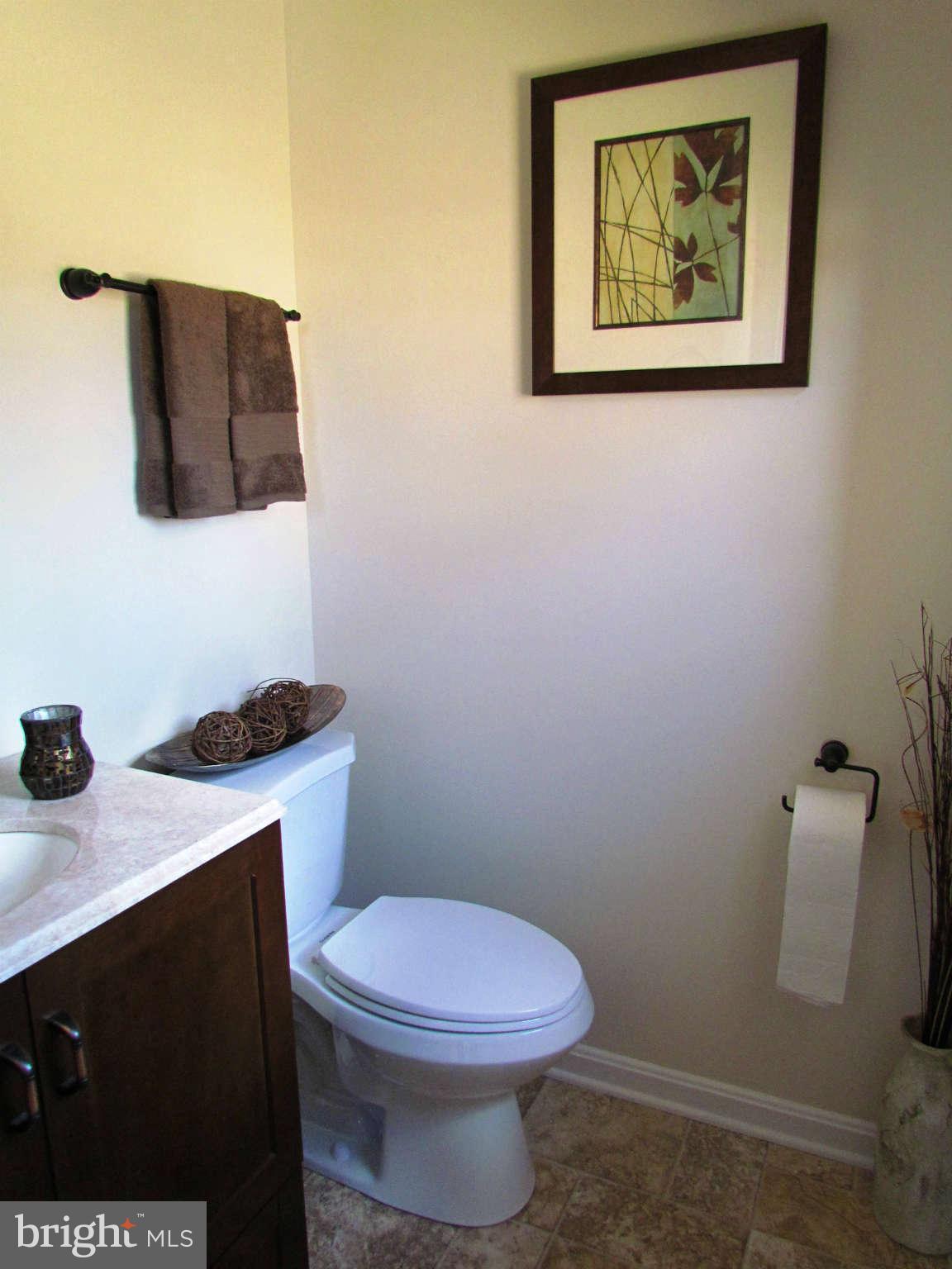 317 Ridge Road Winchester, VA 22602 - Photo 17 of 30 Bath (Master)