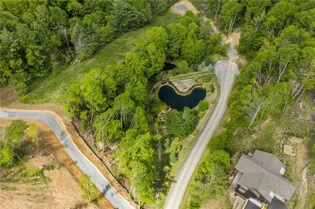 Lot 46 Silver Springs Farm Road Banner Elk, NC 28604 - Photo 3 of 9 Gallery Image 3