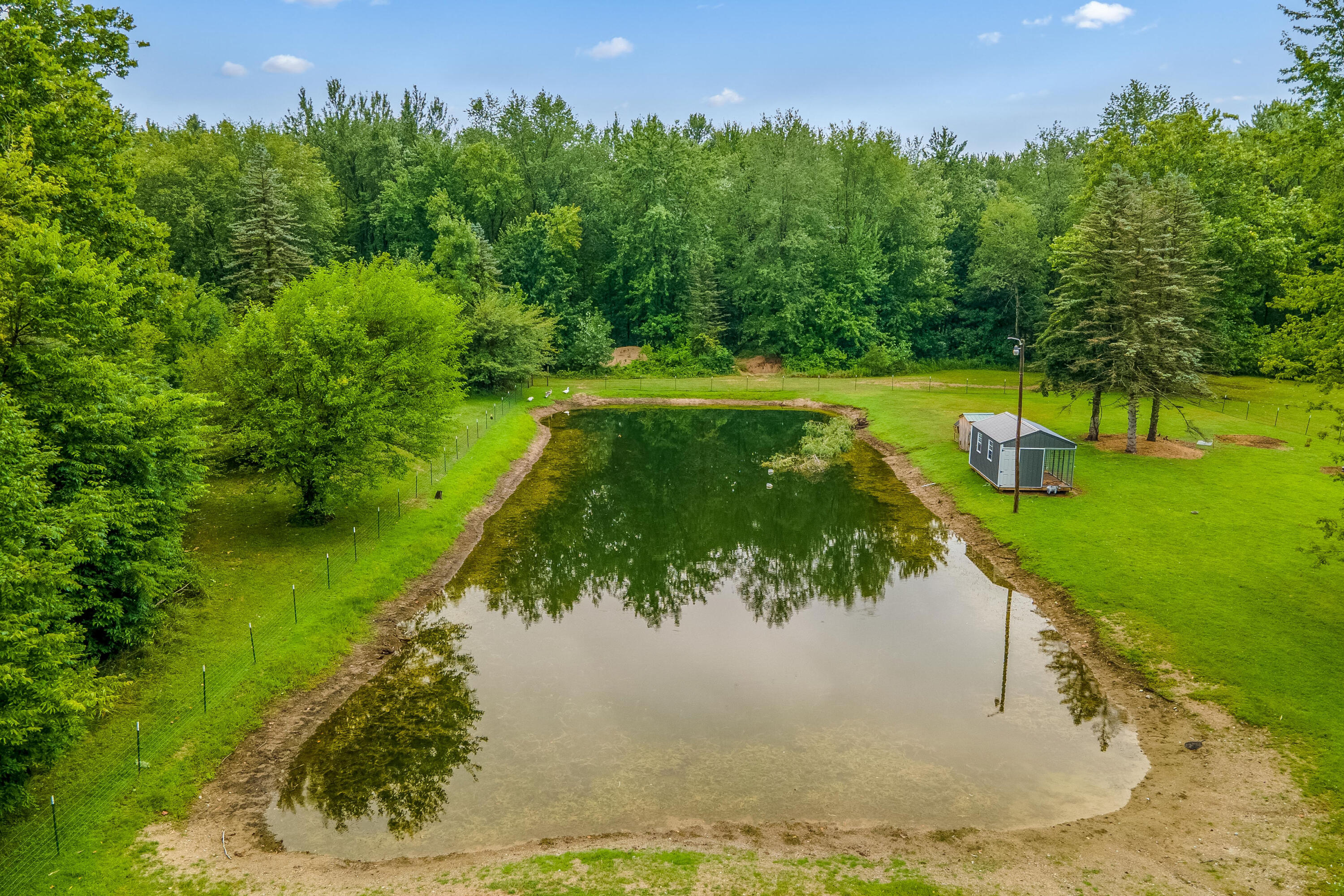 11200 Hadley Road Litchfield, MI 49252 - Photo 10 of 51 16