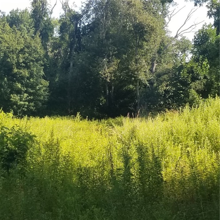 3703 Tower Hill Road South Kingstown, RI 02879 - Photo 3 of 5