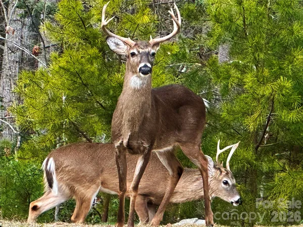 $620,000 | 31 Cozy Cottage Way, Arden, NC 28704