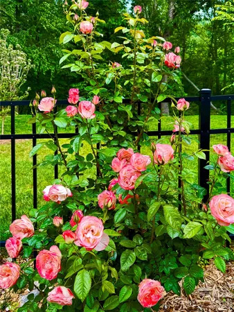 $620,000 | 31 Cozy Cottage Way, Arden, NC 28704