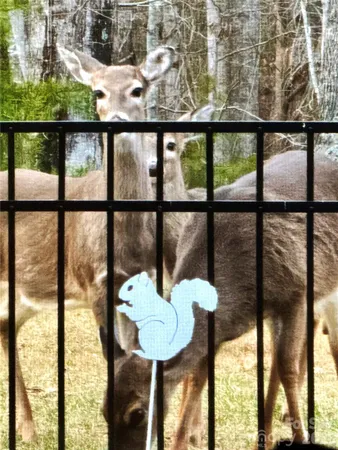 $620,000 | 31 Cozy Cottage Way, Arden, NC 28704