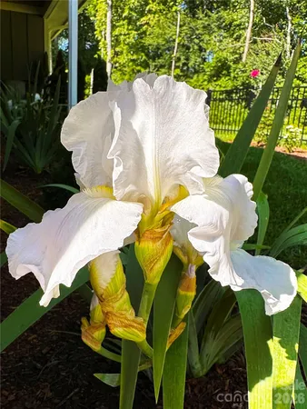 $620,000 | 31 Cozy Cottage Way, Arden, NC 28704