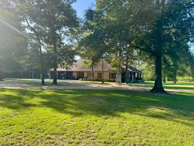 a view of a swimming pool with a table and chairs and a large tree
