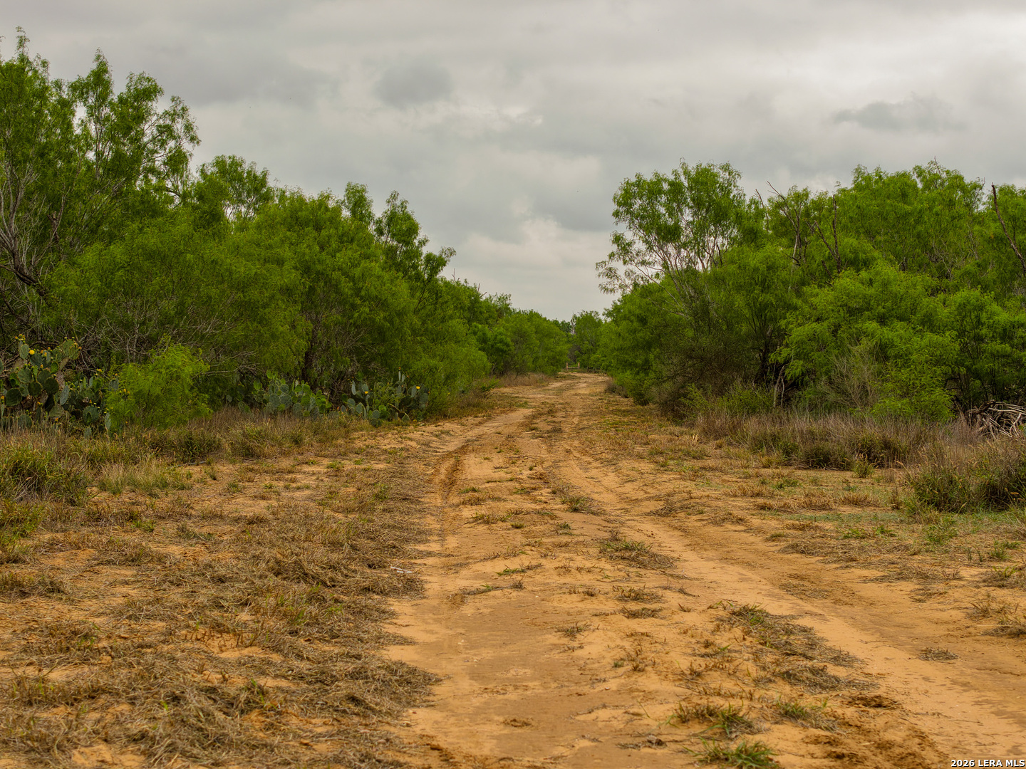 9 Fm 1581 Pearsall, TX 78061 - Photo 6 of 22