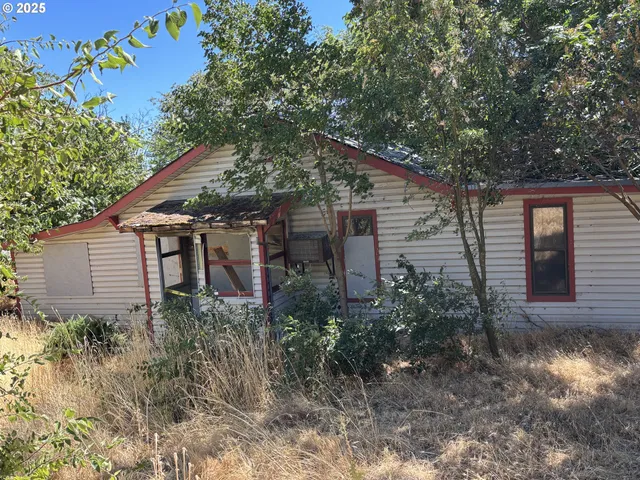 a backyard of a house with plants and large tree