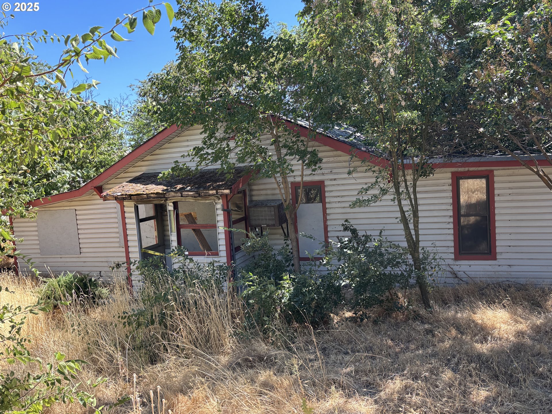 a backyard of a house with plants and large tree