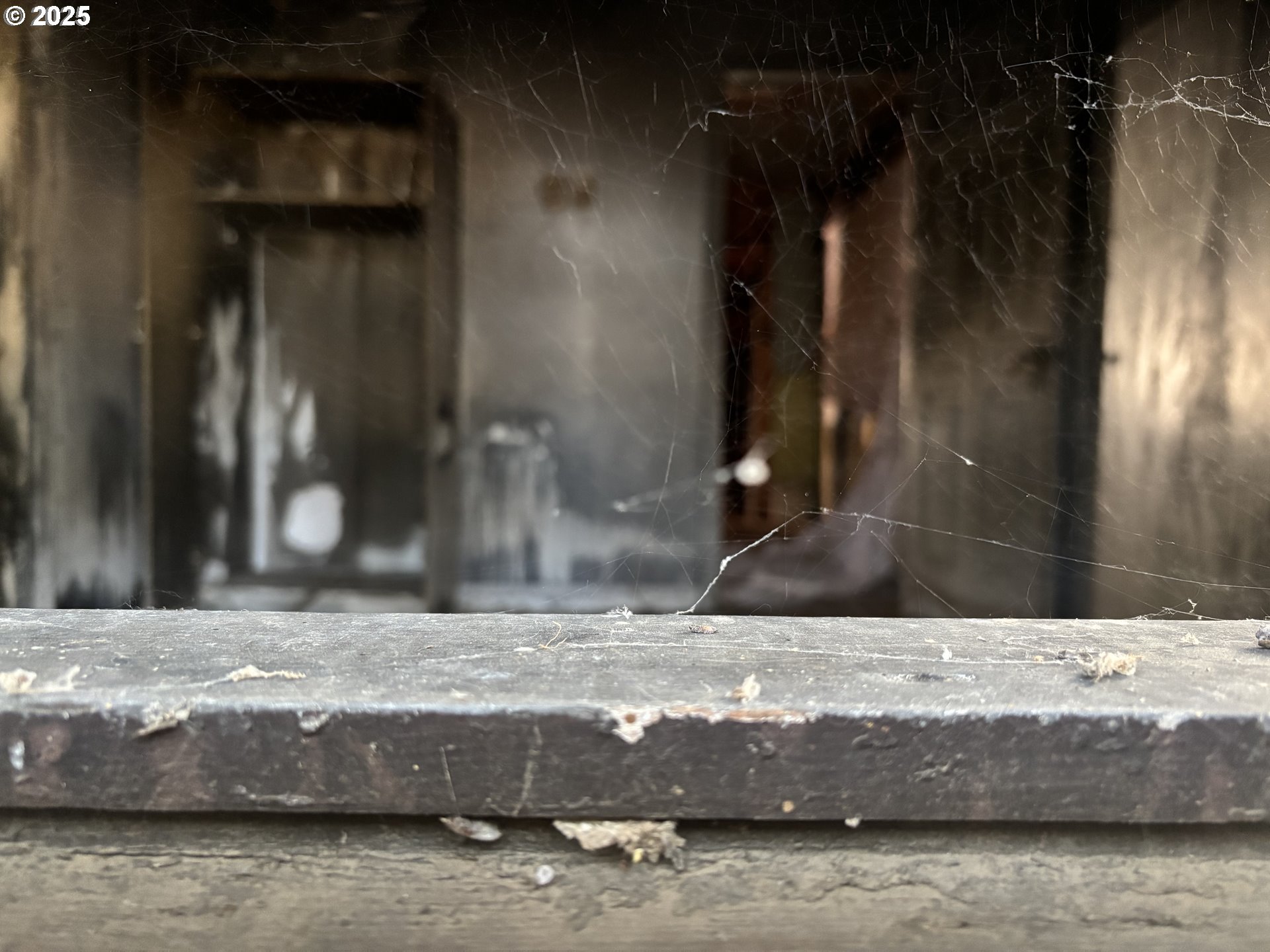 142 Bunn Street Wishram, WA 98673 - Photo 12 of 13 a view of a house with a yard