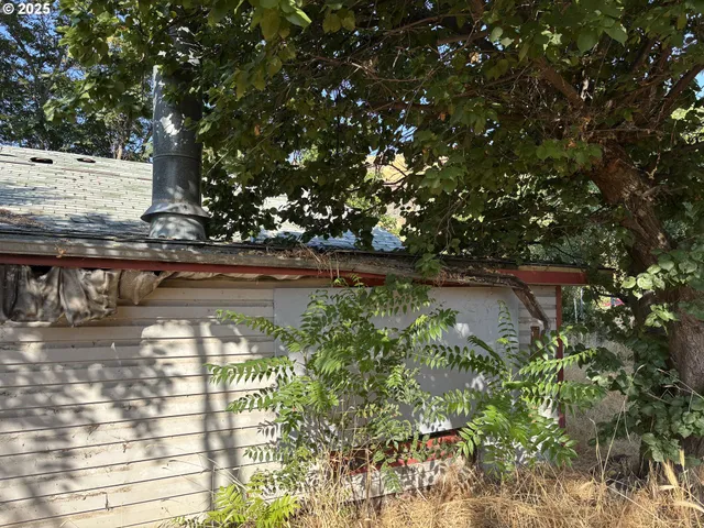 a view of swimming pool with lawn chairs and plants