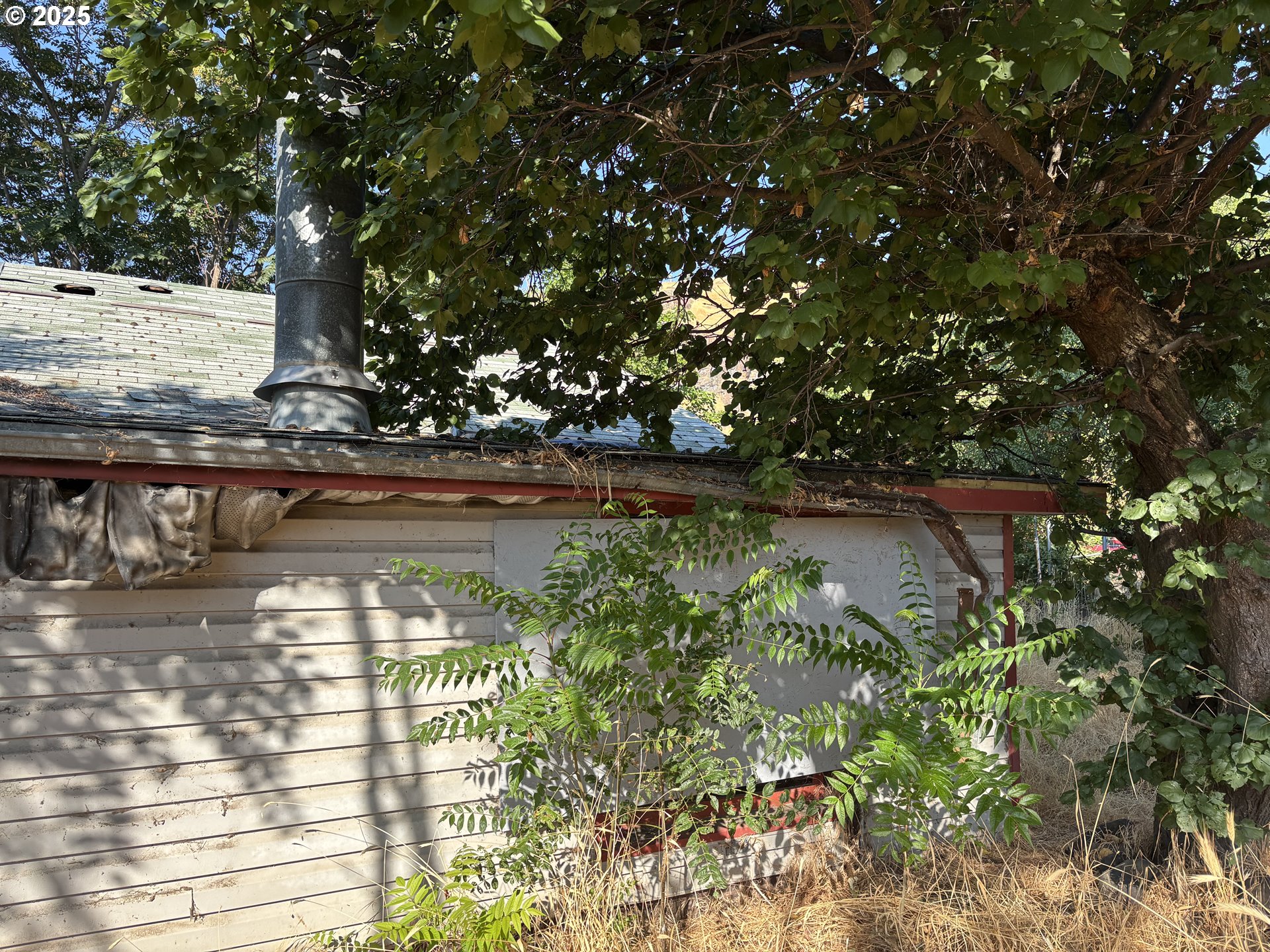 142 Bunn Street Wishram, WA 98673 - Photo 7 of 13 a view of swimming pool with lawn chairs and plants