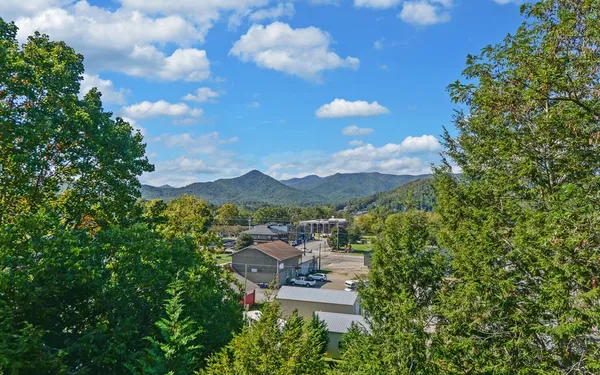 a view of a city with lush green forest