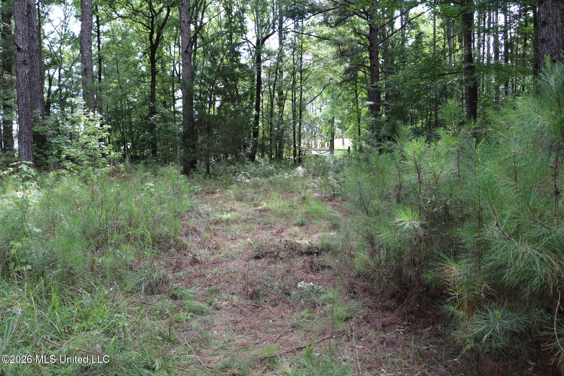 2026 Stump Bridge Road Camden, MS 39045 - Photo 18 of 18 IMG_5716