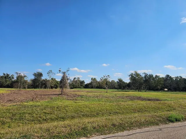a view of a field with an trees
