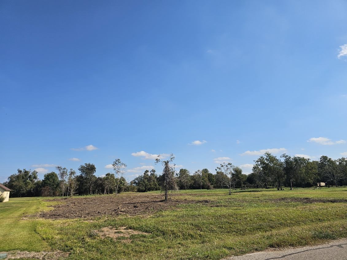 16411 Wrangler Road Rosharon, TX 77583 - Photo 2 of 4 a view of grassy field with trees