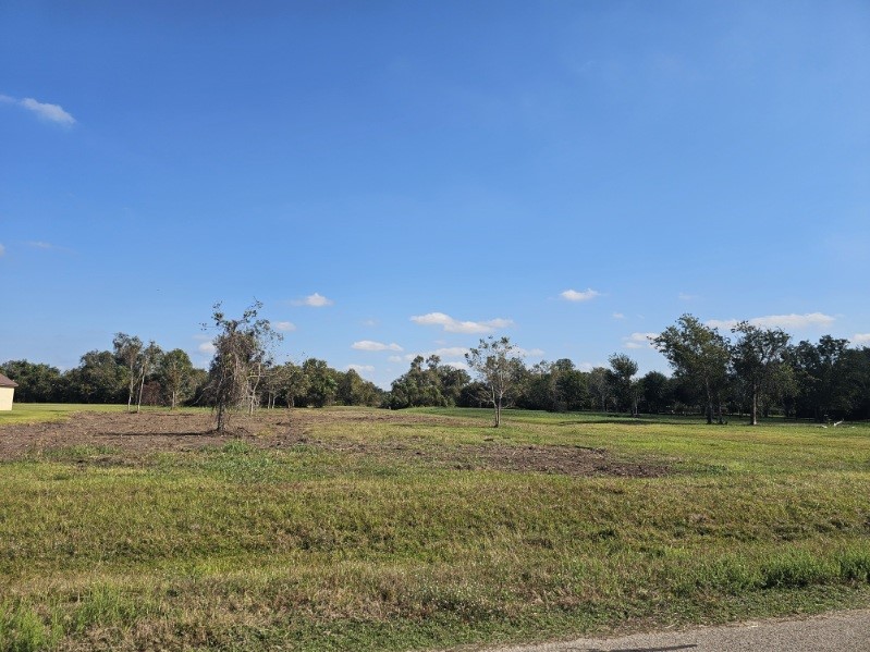 16411 Wrangler Road Rosharon, TX 77583 - Photo 4 of 4 a view of a grassy field with trees in the background