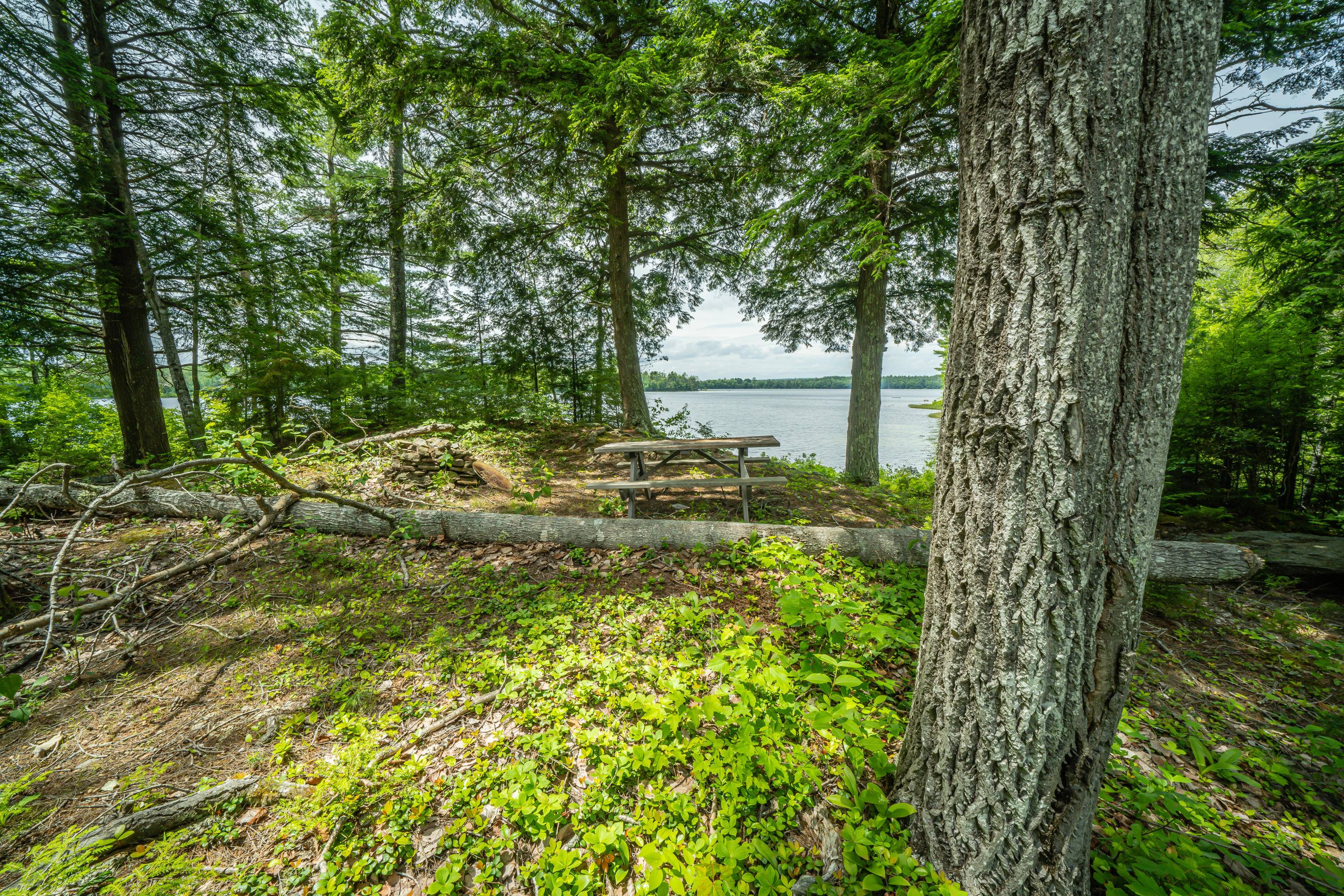 102 Camp Road Belmont, ME 04952 - Photo 19 of 33 Water View