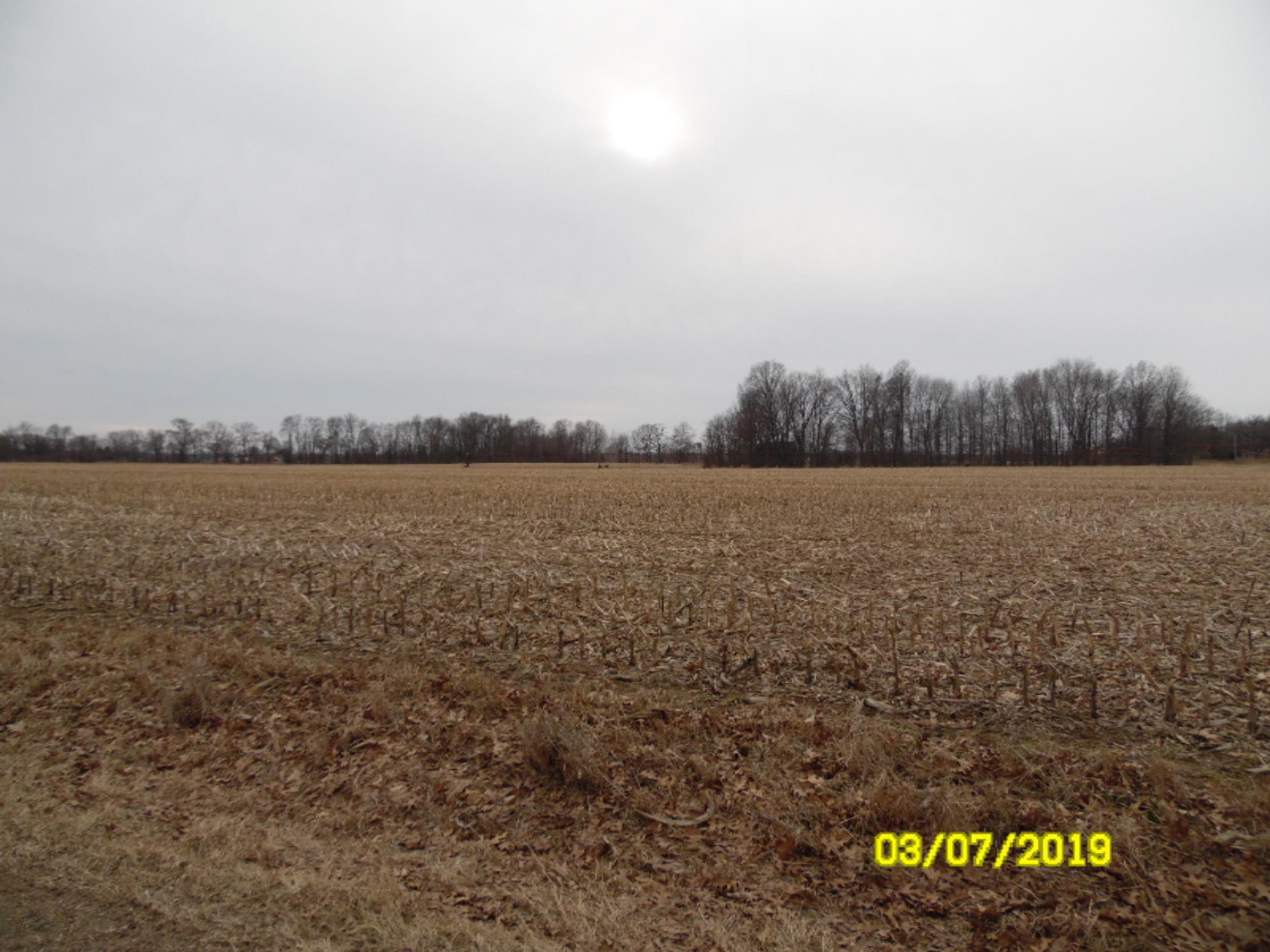 32900 Hackman Road Burr Oak, MI 49030 - Photo 5 of 5 SAM_7057