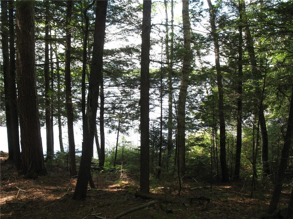 Map 7-lot Map 7-lot Pullyard Road Sangerville, ME 04479 - Photo 5 of 14 Photo