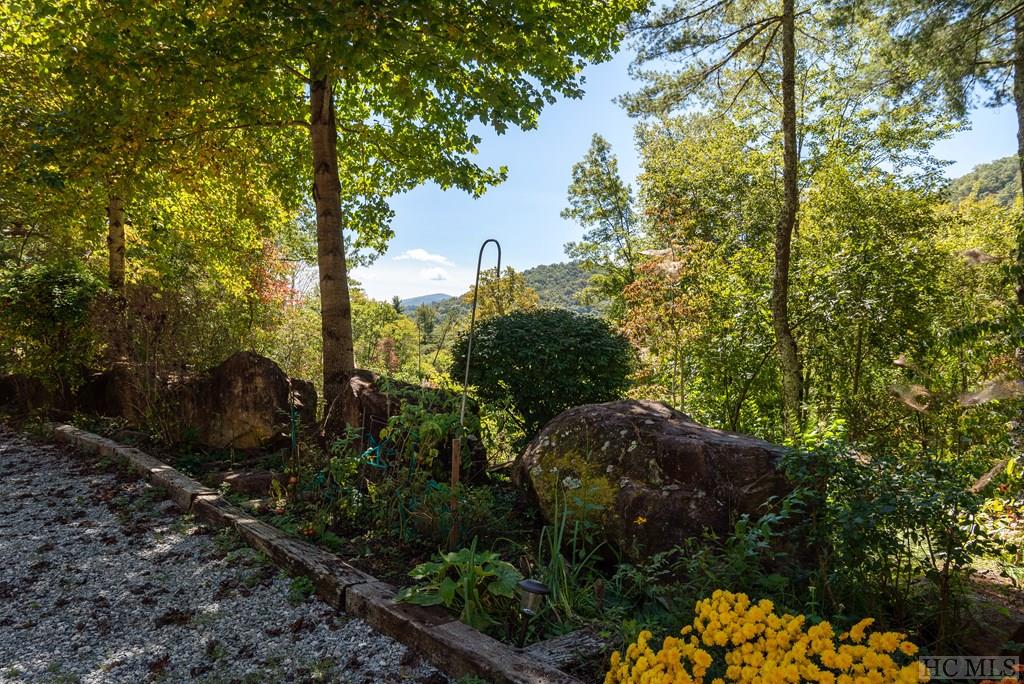 4201 Cullowhee Forest Road Cullowhee, NC 28723 - Photo 29 of 40 Gallery Image 29