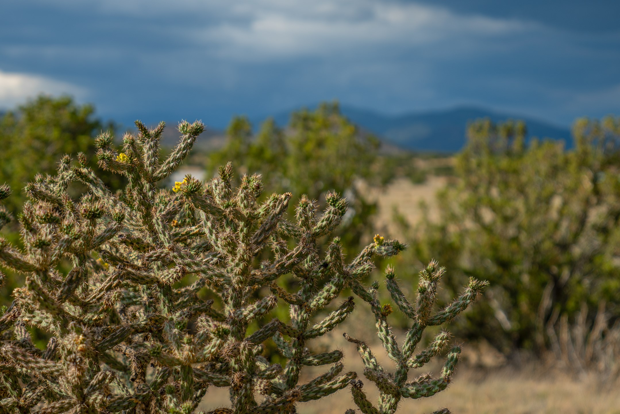 28 Old Road Lamy, NM 87540 - Photo 14 of 16