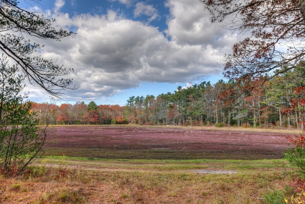 69 Old Tuck Bog Road Rochester, MA 02770 - Photo 23 of 29