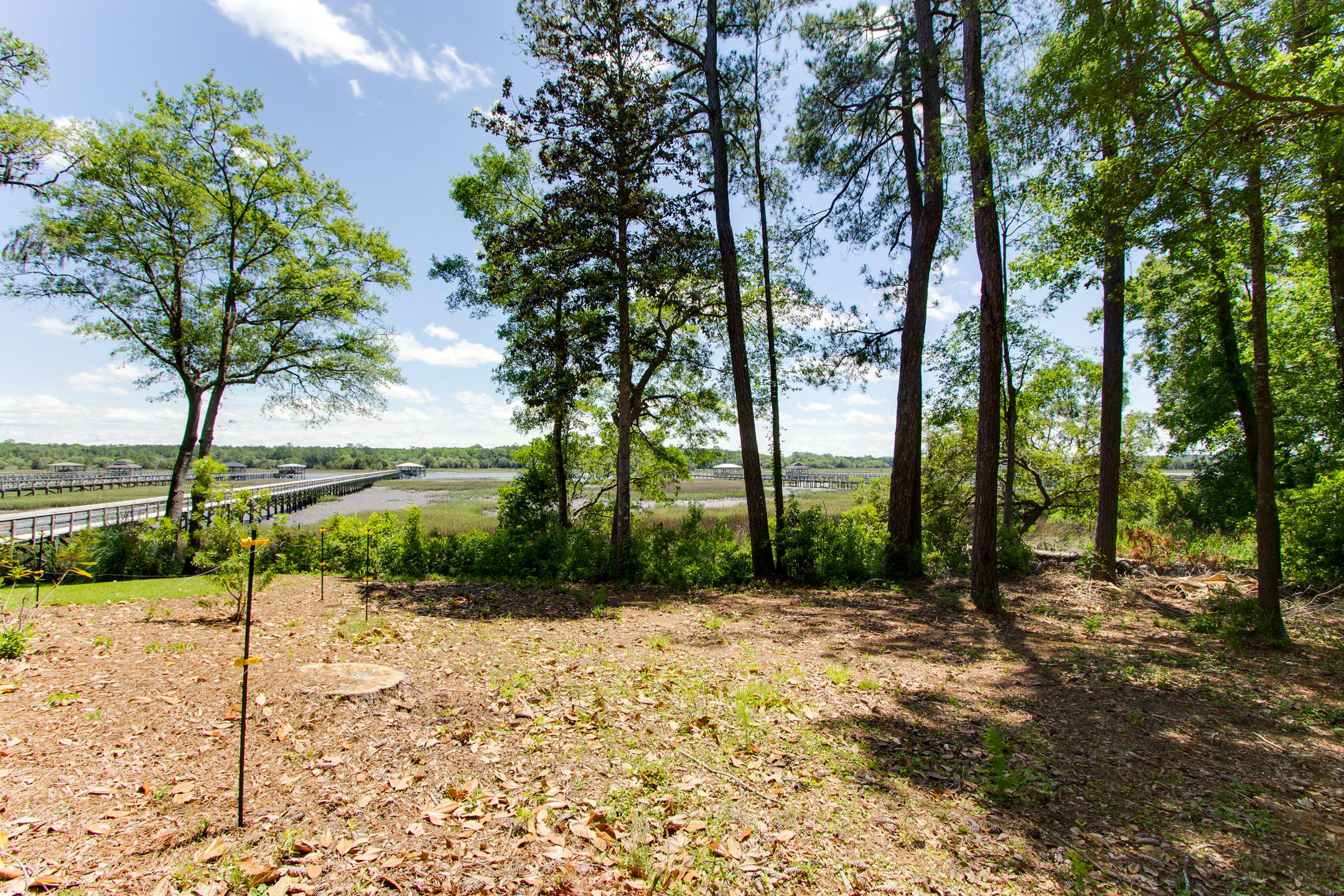 5666 Captain Kidd Road Hollywood, SC 29449 - Photo 7 of 13 untitled (4 of 5)