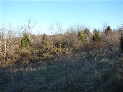 2595 High Bridge Road Wilmore, KY 40390 - Photo 26 of 39 Photo 27
