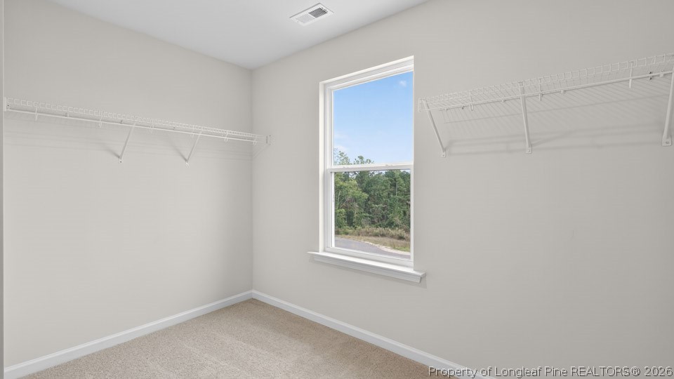172 Fair Child Road Spring Lake, NC 28390 - Photo 30 of 34 Closet