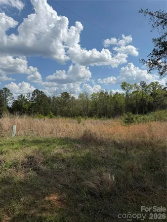 $90,000 | 0 Springwood Lakes Road, Chester, SC 29706