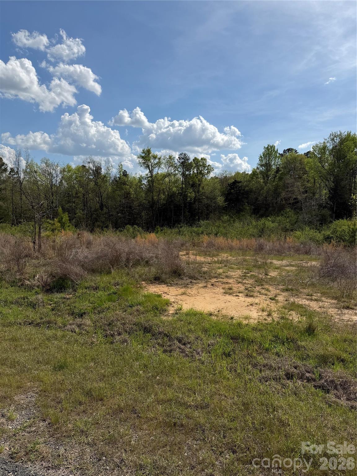 0 Springwood Lakes Road Chester, SC 29706 - Photo 2 of 2