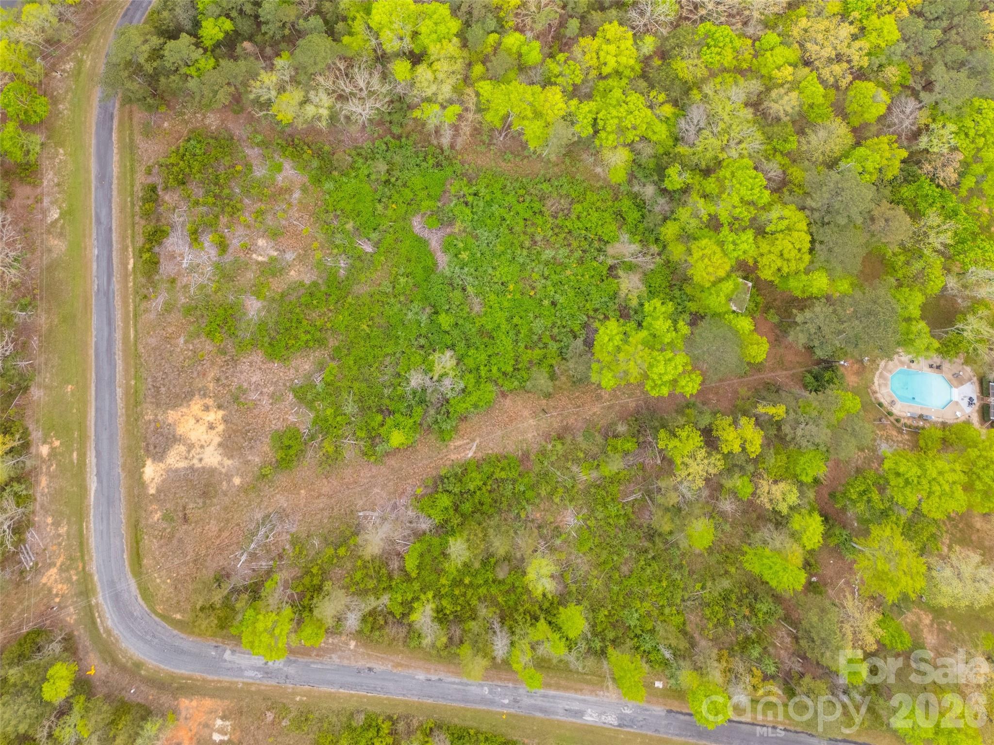 0 Springwood Lakes Road Chester, SC 29706 - Photo 5 of 6 a view of a yard