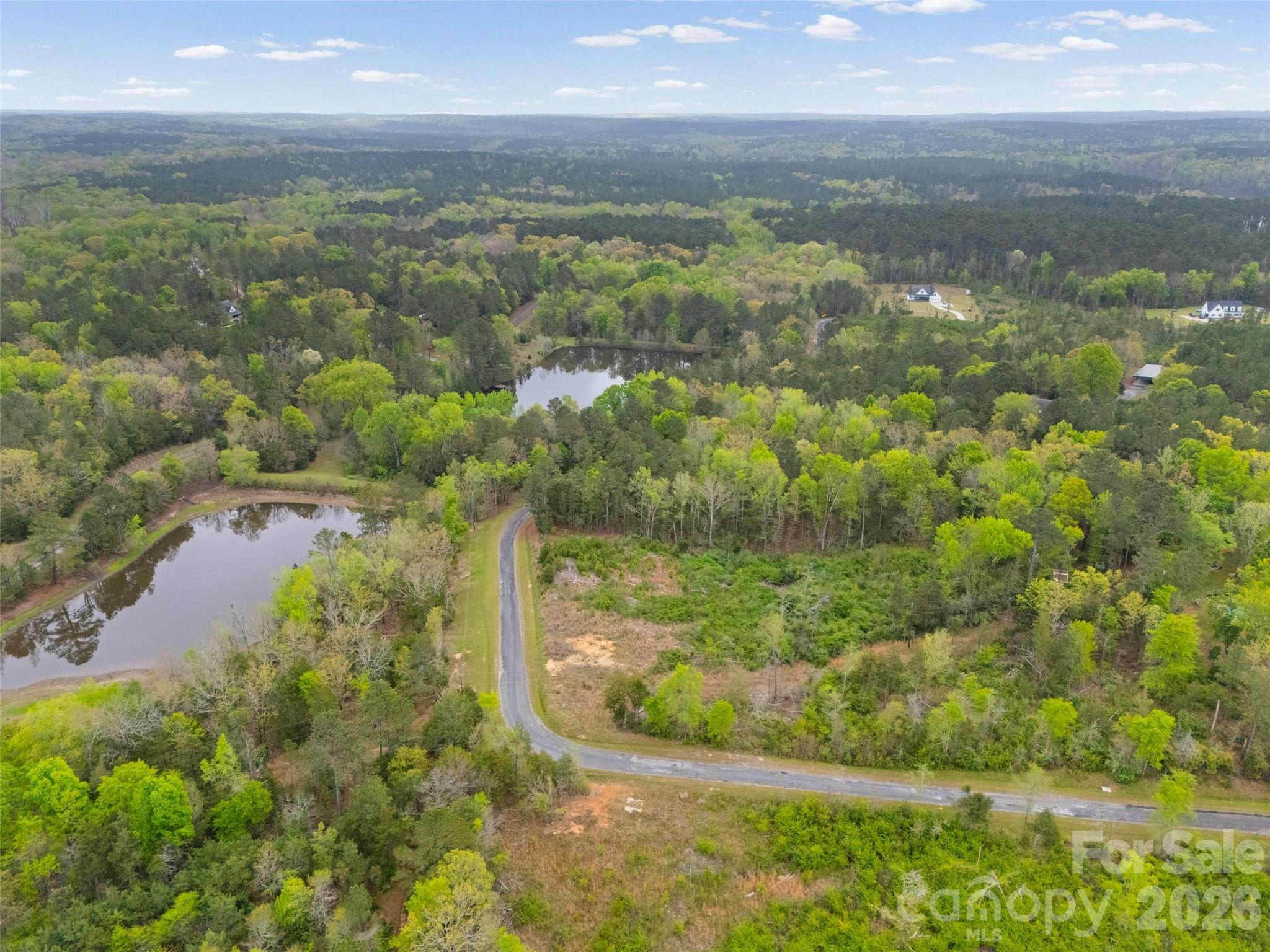 0 Springwood Lakes Road Chester, SC 29706 - Photo 6 of 6