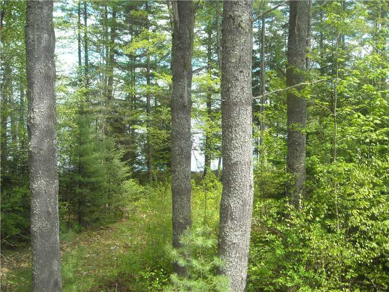67 Perkins Athens, ME 04942 - Photo 7 of 12 Land. walkway to the lake..