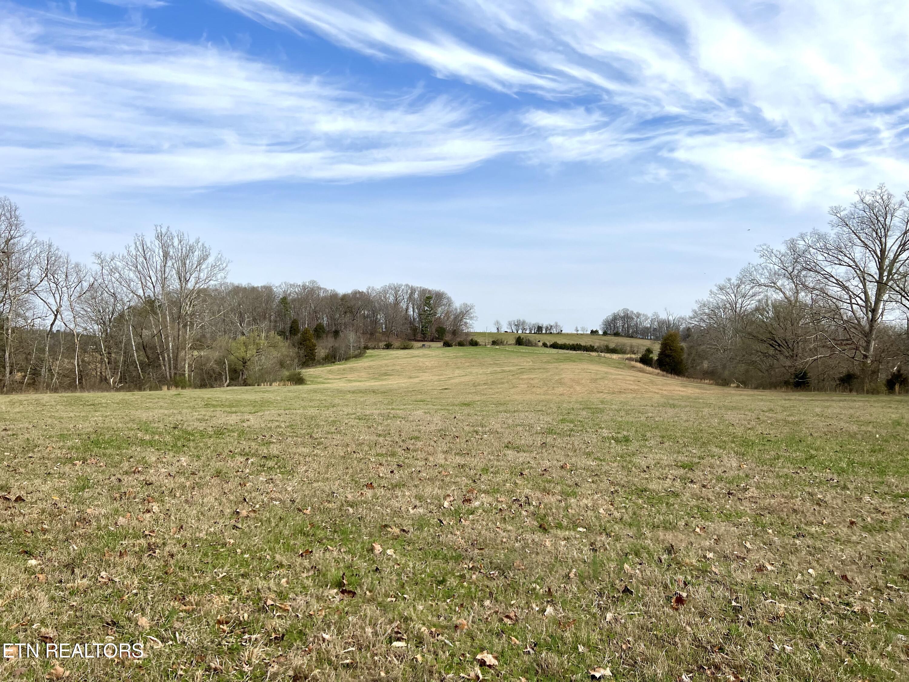 0 Trigonia Road Maryville, TN 37801 - Photo 1 of 26 IMG_5547