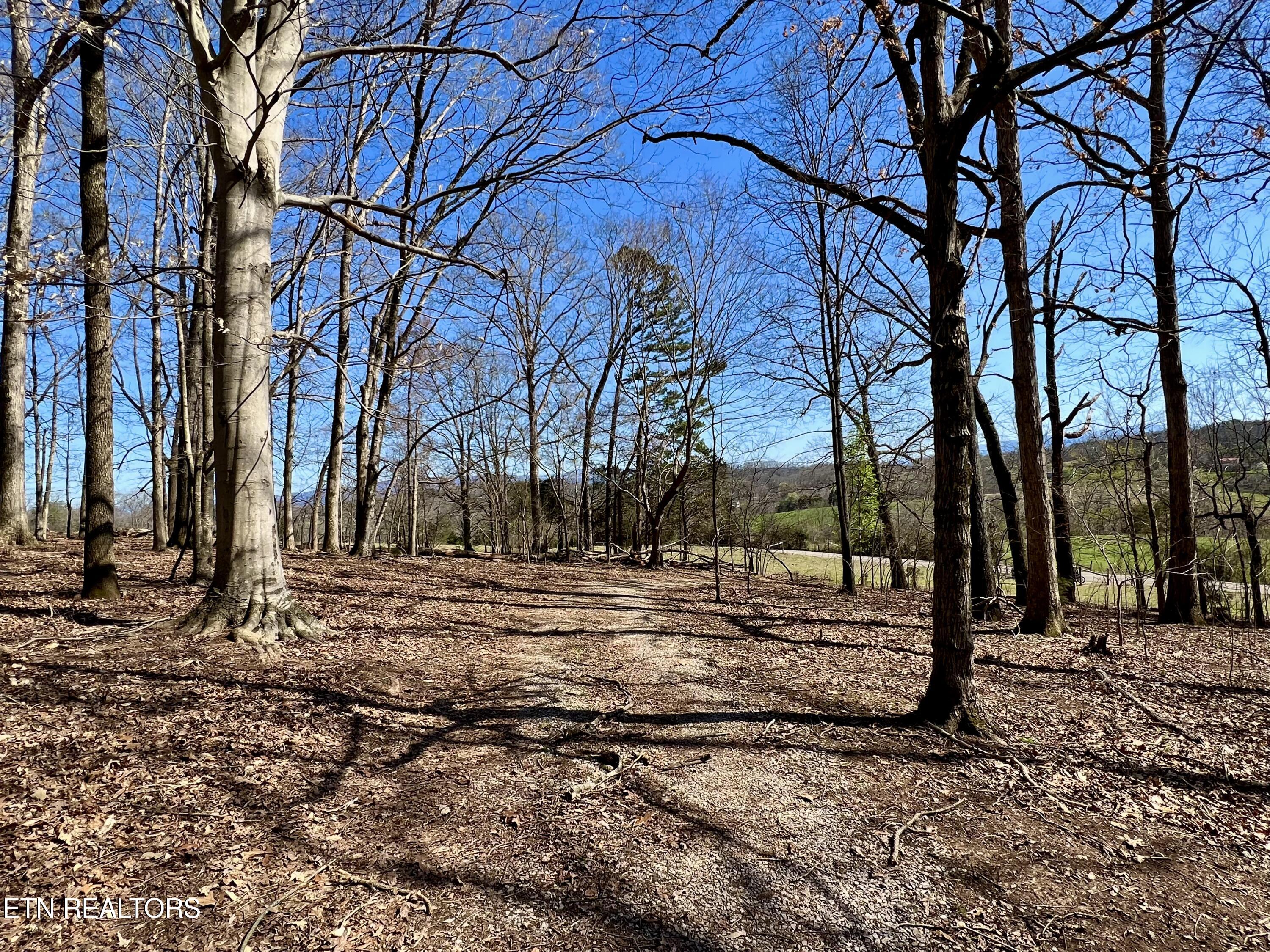 0 Trigonia Road Maryville, TN 37801 - Photo 12 of 26 IMG_5616