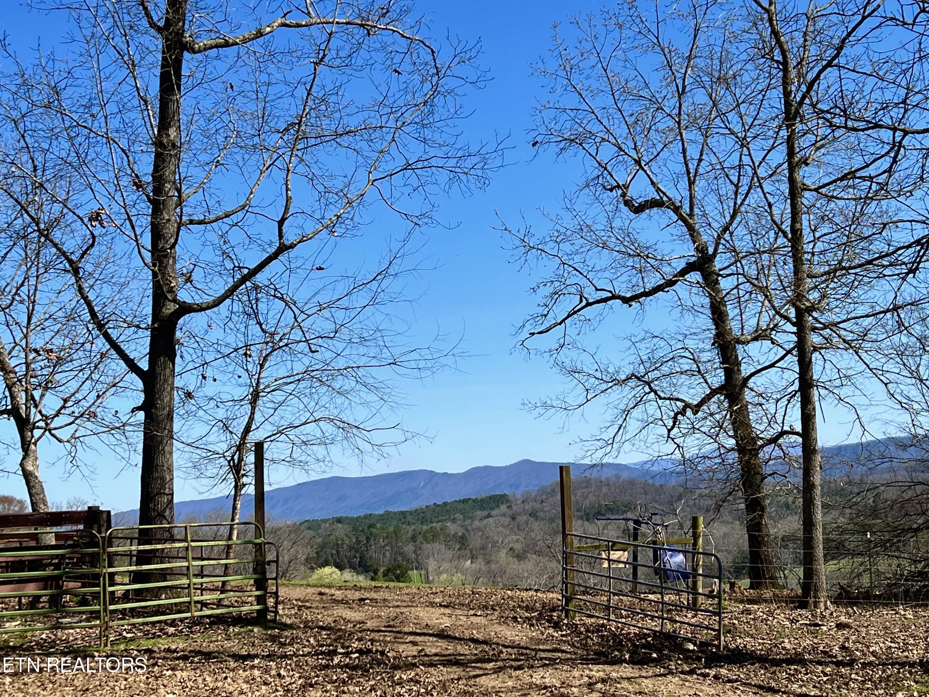 0 Trigonia Road Maryville, TN 37801 - Photo 13 of 26 IMG_5624