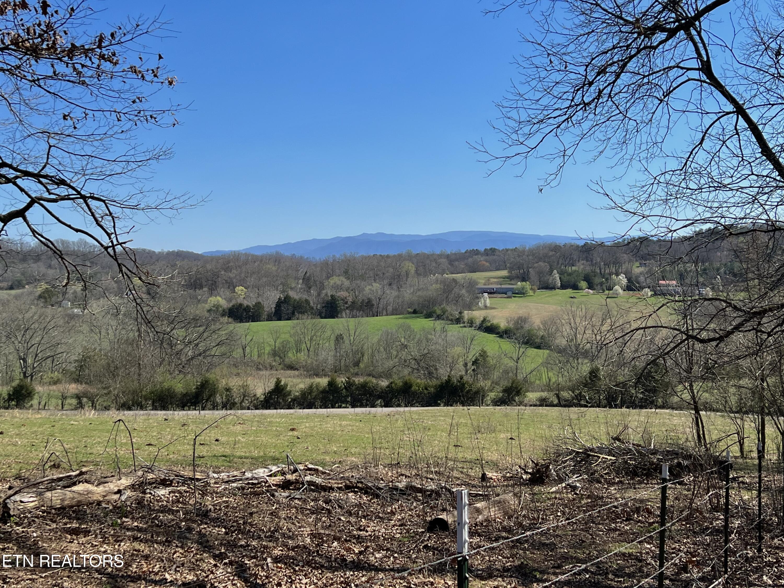 0 Trigonia Road Maryville, TN 37801 - Photo 15 of 26 IMG_5656