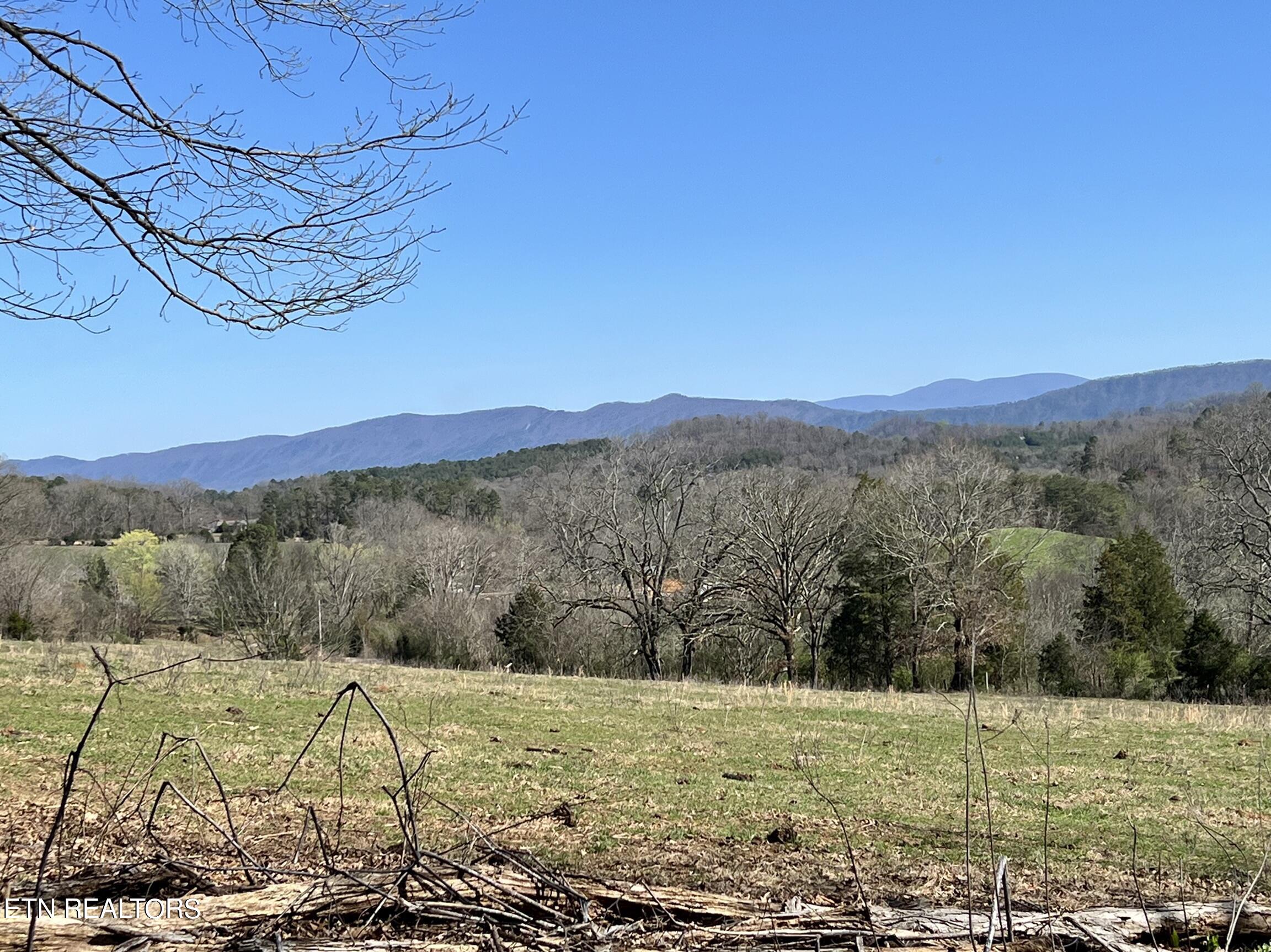 0 Trigonia Road Maryville, TN 37801 - Photo 16 of 26 IMG_5658