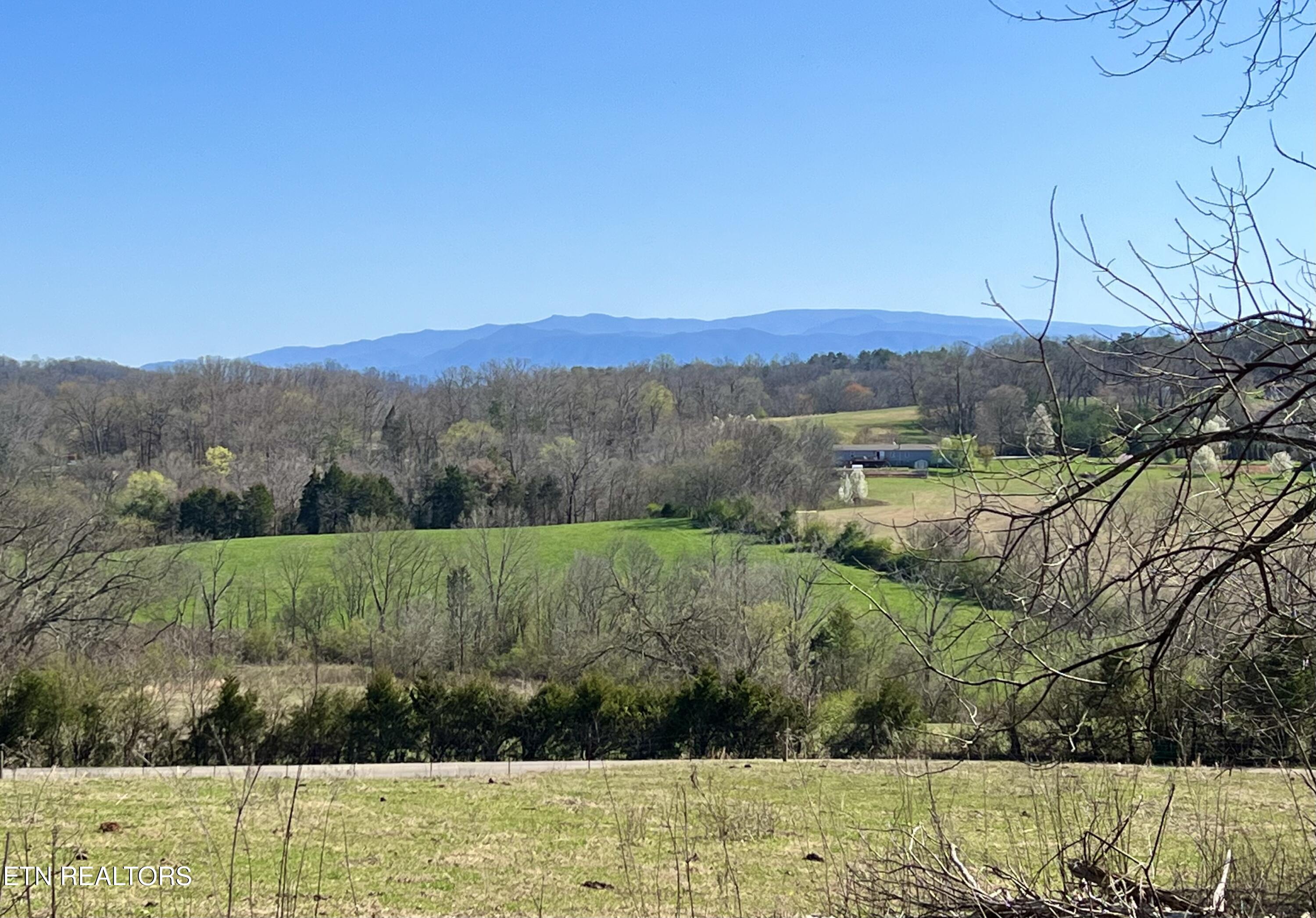 0 Trigonia Road Maryville, TN 37801 - Photo 17 of 26 IMG_5659